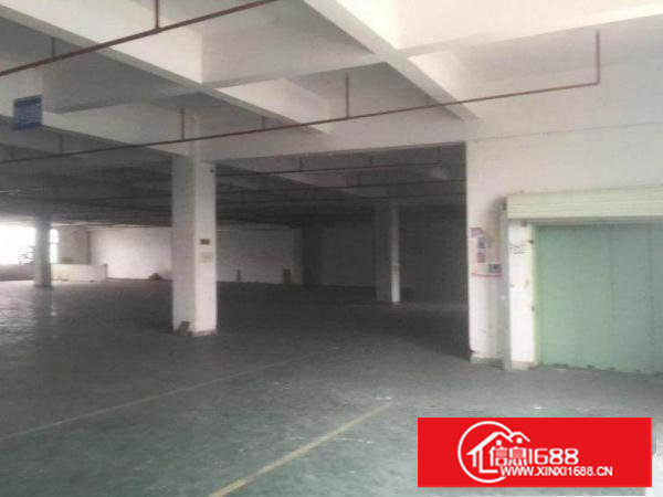 龙背岭新出原房东独院分租1楼1500