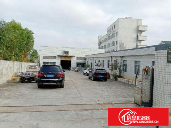 凤岗五联原房东独院单一层9米高钢构2000平方出租