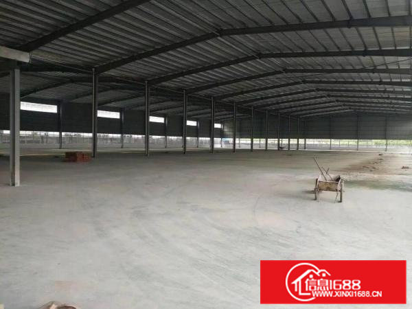 石排新出独门独院单一层钢构厂房