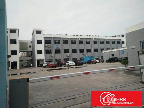 虎门怀德新出村委房子4楼900平方带装修水电齐全