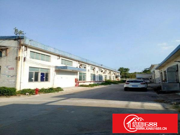 坪山石井比亚迪旁钢结构厂房1300平米出租