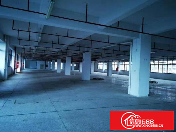 坪山大工业区红本厂房楼上1980平招租厂房形象好