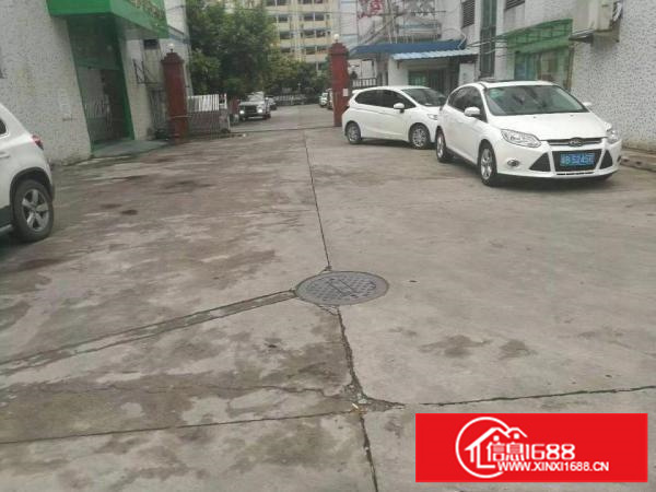 平湖新夏大道一楼标准钢结构厂房700平出租