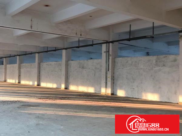 大朗犀牛陂工业区独院标准电梯厂房可分租3000平方