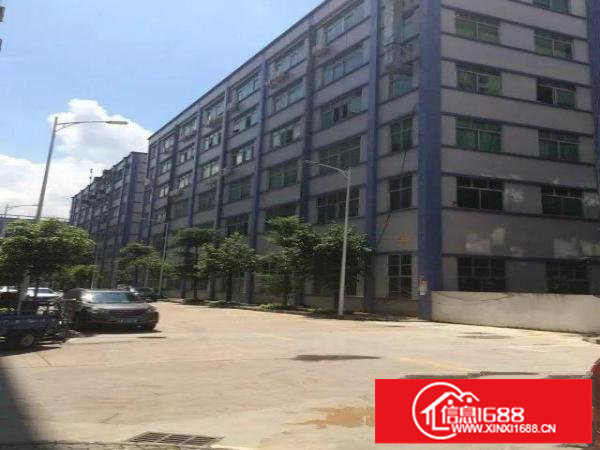 坂田上雪大工业区800平方出租