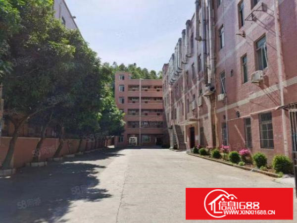 坪山坑梓原房东独院6200平厂房，建筑面积出租，交通便利