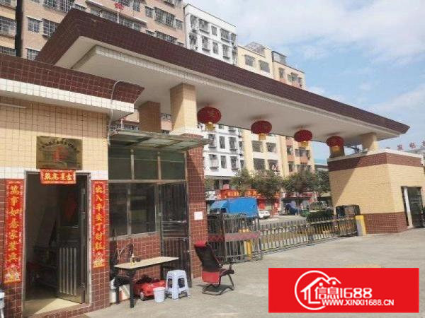 大朗镇松柏朗村新出原房东花园式独院厂房总面积19600平方