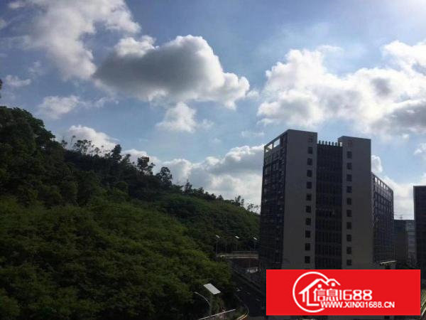 出租龙岗区坪地国际低碳城标准厂房环境优雅租金便宜