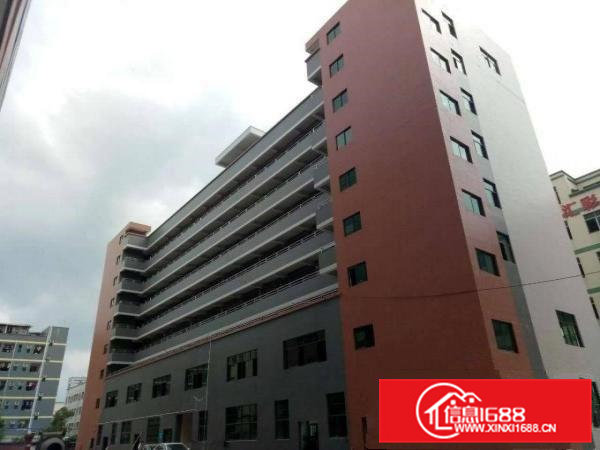 凤岗镇竹尾田村全新一楼6米高厂房1200平米出租