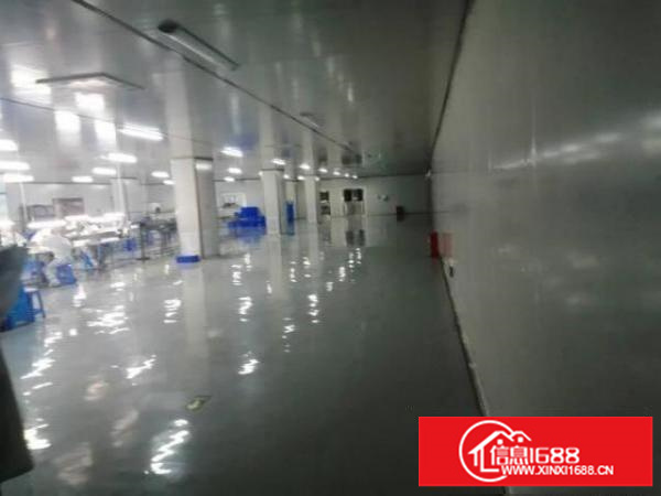 无尘车间低价出租不要转让费