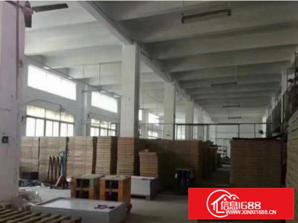 大岭山新出小独院厂房3800平方,超大空地现成货梯与办公室
