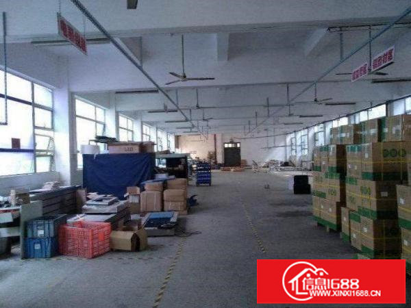 坂田新出原房东独门独院三层每层1500平分层租空地大