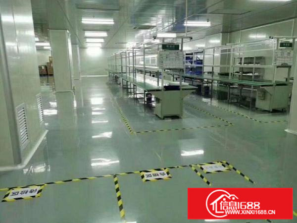 寮步镇原房东出租标准重工业厂房一楼层高6米