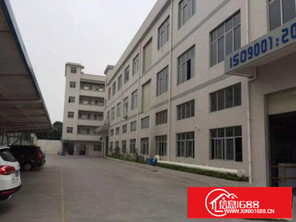 东坑一楼1000平标准厂房精装修火热招租