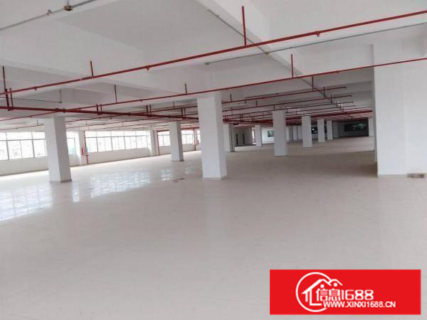 惠州市仲恺沥林高速路口12000平方全新标准厂房