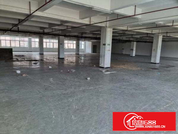 出租高埗冼沙莞潢中路二楼带电梯