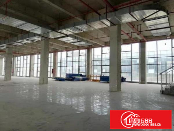 凤岗爱车总动员大面积厂房、仓储可电商可办公带装修
