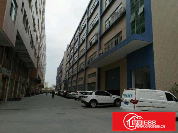 大岭山杨屋新出楼上带装修厂房850平米高速出入口附近！