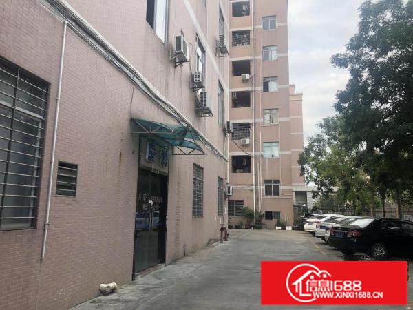 新出！虎门精品一楼厂房735平米（带装修）