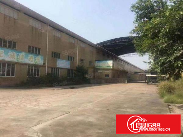 万江区周边独门独院原房东单一层厂房出租