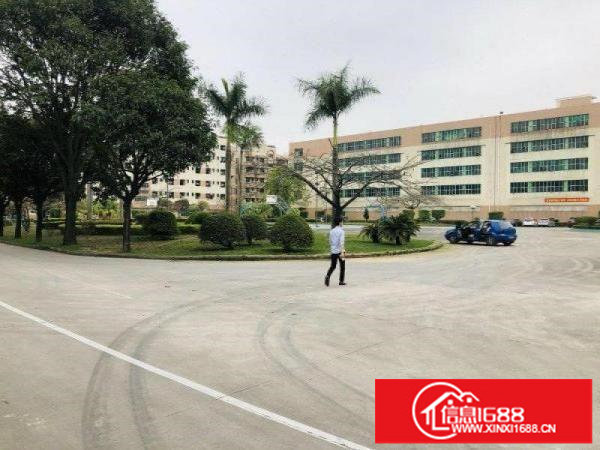 布吉上下水径甘坑仓库250平300平500平800平大小出租