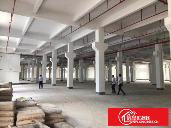 陈江6500平独院，可做污染行业，有红本，可办环评