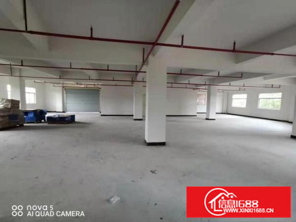 塘厦凤凰岗3至7楼780平方/层可分租免租期长 空地大