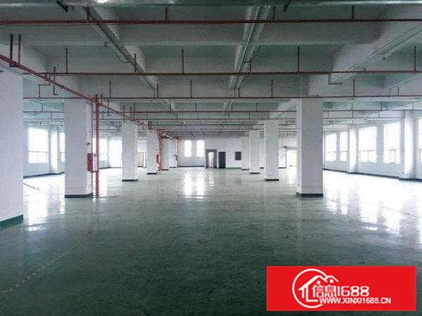 顺德伦教2500方标准厂房出租、形象好，近一环