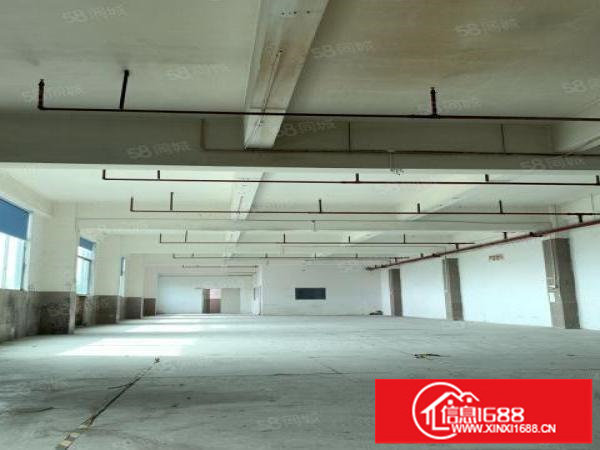 4楼700平米，有消防喷淋，采光好，户型方正