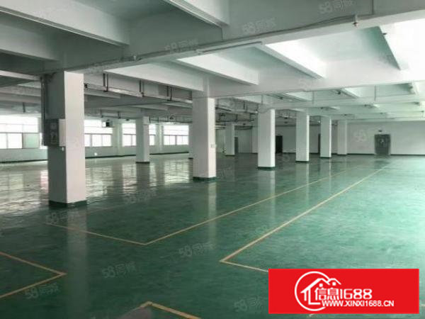 凤岗金凤凰一二楼各1000平方带金装厂房仓库出租