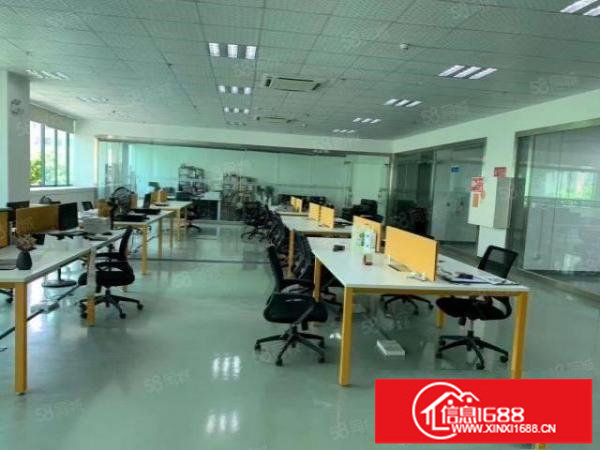 大浪新百丽附近新出精装修1400平方米出租