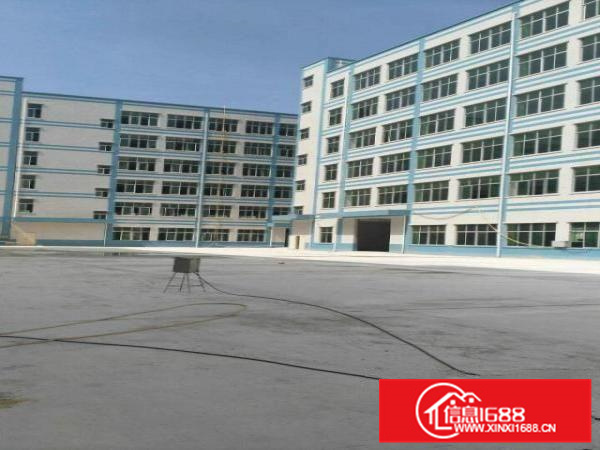 大亚湾全新新亿科技园整体、分层、分栋出租