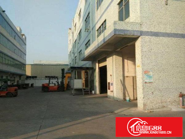 坪山3000平方精品小独院招租