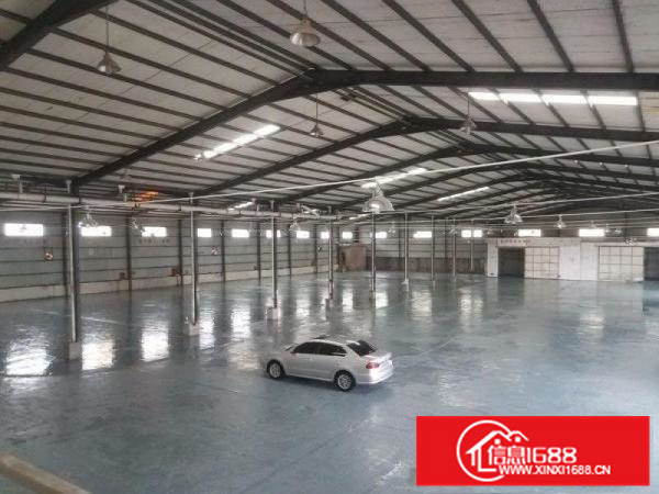 惠阳新圩新出2000平方钢构