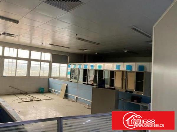 位置好，形象佳，拎包使用