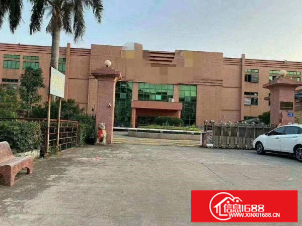 常平|新出原房东标准独院厂房6500平方米