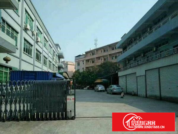 靓价租！塘厦新出楼上原房东460平厂房租，先到先得