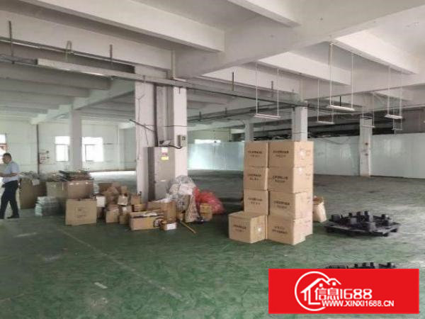 横沥镇三江工业区原房东一楼1300平方6米厂房出租