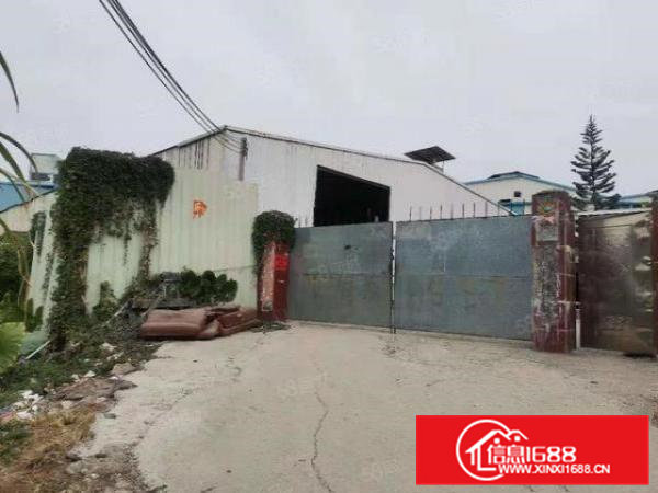 杨屋经典小独院1500方单一层钢结构厂房出租，带宿舍办公室