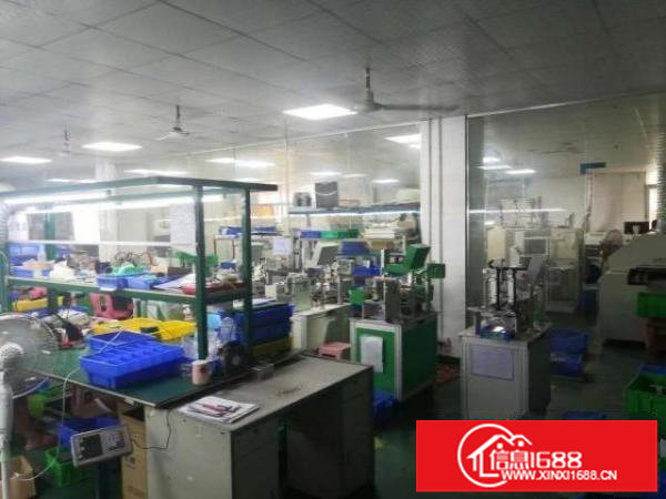 光明楼上1500平方精装修