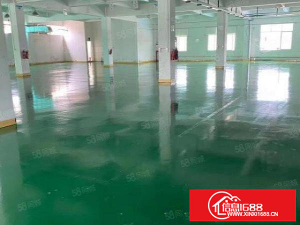 实际面积出租，清溪镇浮岗新出一楼680平，有意请速与我联系