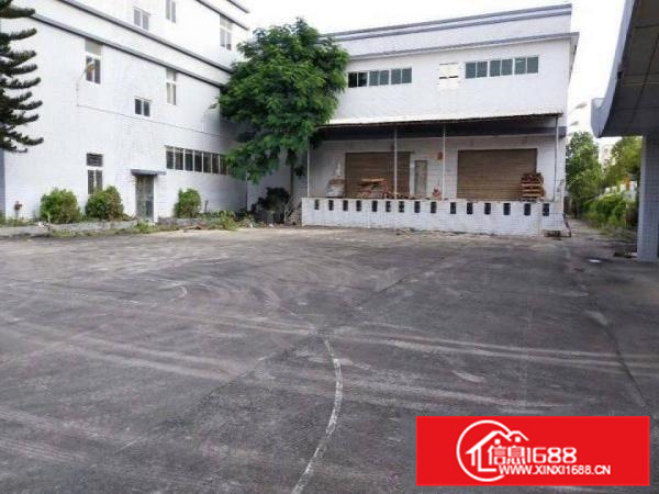 惠州大亚湾比亚迪附近新出四万独院钢构标准厂房可分租