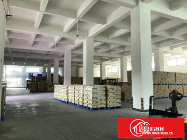 工业聚集地独院新出笋盘工业厂房出租