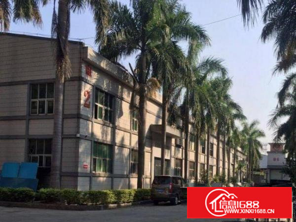 清溪荔横附近新出经典小独院4200平米，带装修水电