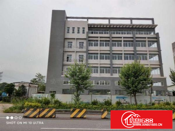 有证，可办环评，大良新建标准独院厂房出租，客分租