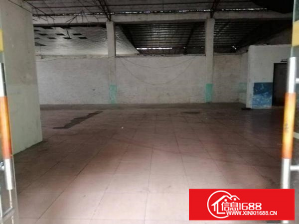 狮山有351和831厂房出租，带空地，形象好