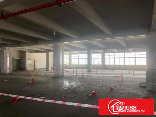 原房东没公摊形象好厂房出租