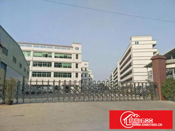 （保税区）坪山保税区独栋厂房1.6万平出租分租