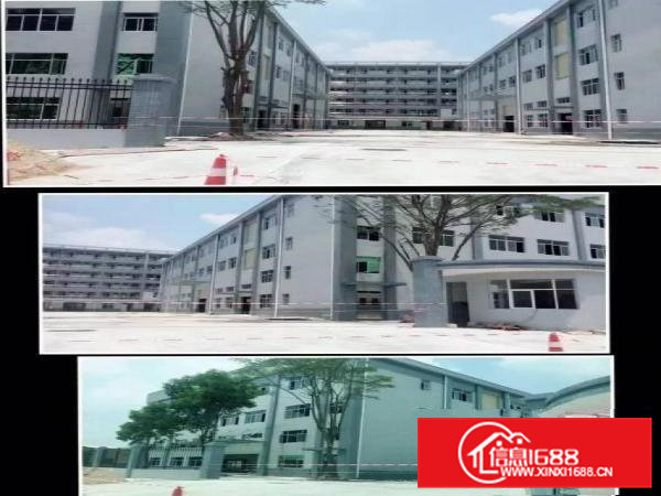 常平桥沥全新独院厂房12150平米急租