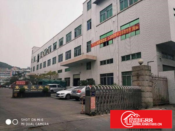 长安锦厦振安加油站旁楼上1000平厂房出租电子厂房